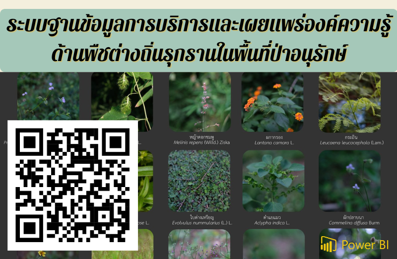 การบริการและเผยแพร่องค์ความรู้ ด้านพืชต่างถิ่นรุกรานในพื้นที่ป่าอนุรักษ์